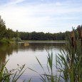 Der Heidemühlenteich bei Karsdorf in der Dippoldiswalder/Dippser Heide, einem Ortsteil der Stuhlbauerstadt Rabenau im Erholungs- und Wandergebiet unweit des Rabenauer Grundes, Kurzurlaub, Handwerk und Stuhlbau