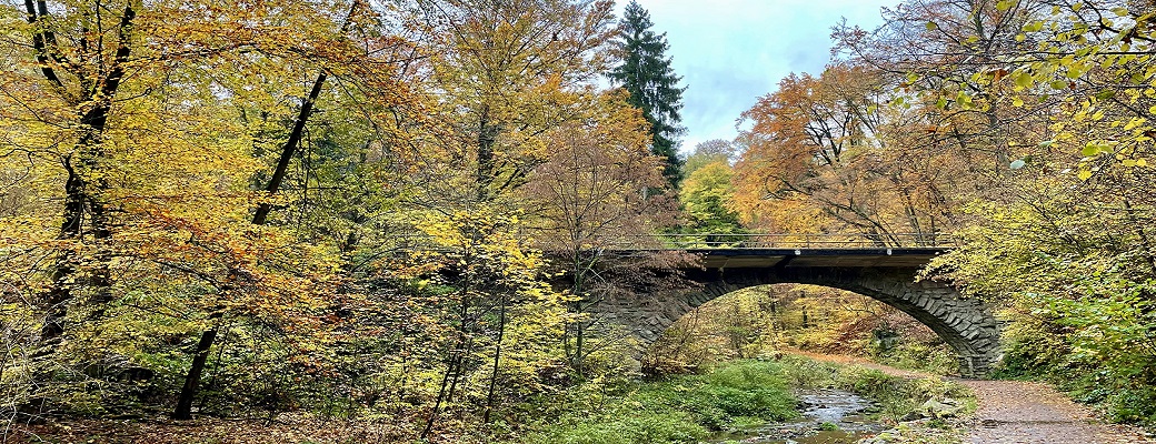 Herbsteindruck aus dem Rabenauer Grund