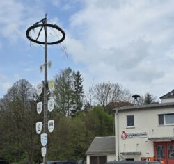 Maibaum in Oelsa, einem Ortsteil der Stuhlbauerstadt Rabenau