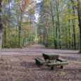 Kulturdenkmal steinerner Tisch an Wanderwegekreuzung mitten im Poisenwald bei Obernaundorf nahe der Stuhlbauerstadt Rabenau am Rabenauer Grund, Erholung, Landidylle, Wandern, Kurzurlaub, Weißeritztal, Stuhlbau, Handwerk