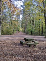 Kulturdenkmal steinerner Tisch an Wanderwegekreuzung mitten im Wald